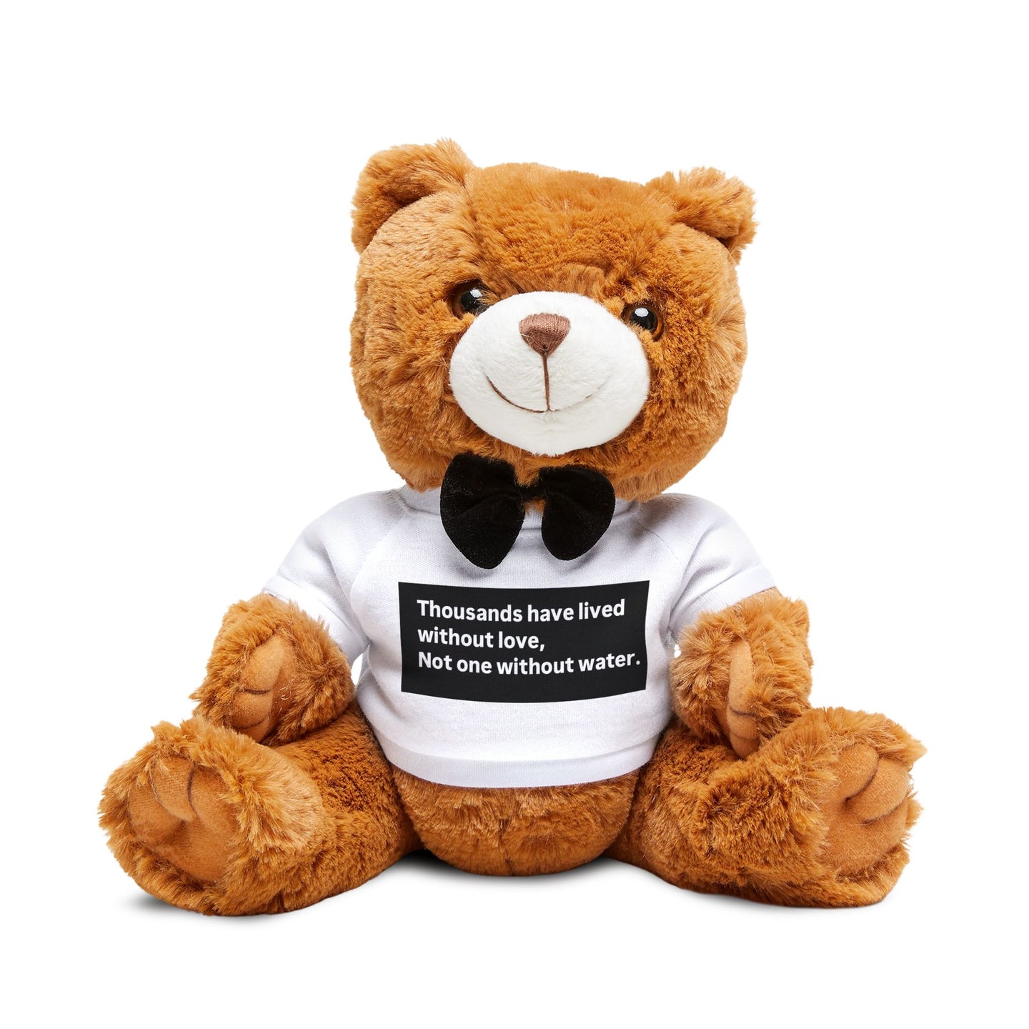 Inspirational Teddy Bear, Cuddle Buddy, Gift for Kids, Stuffed Animal for Comfort, Meaningful Home Decor, Motivational Gift